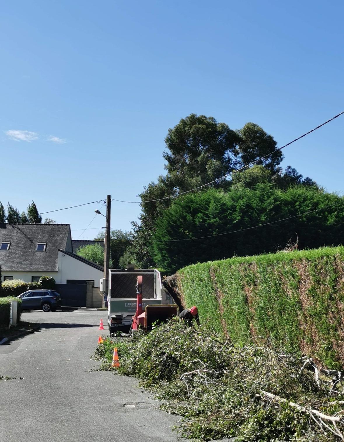 WhatsApp Image 2026-02-19 at 09.30.28 (6)